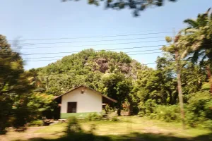 Bukit Tangkiling