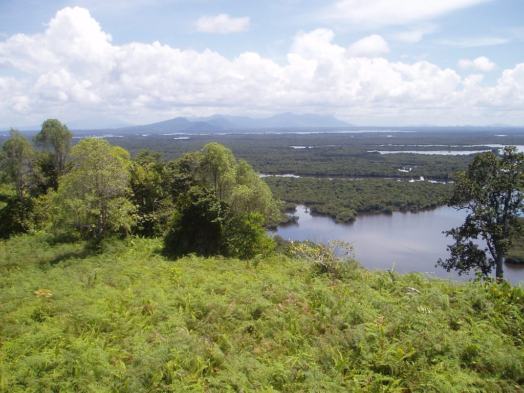 Danau Sentarum