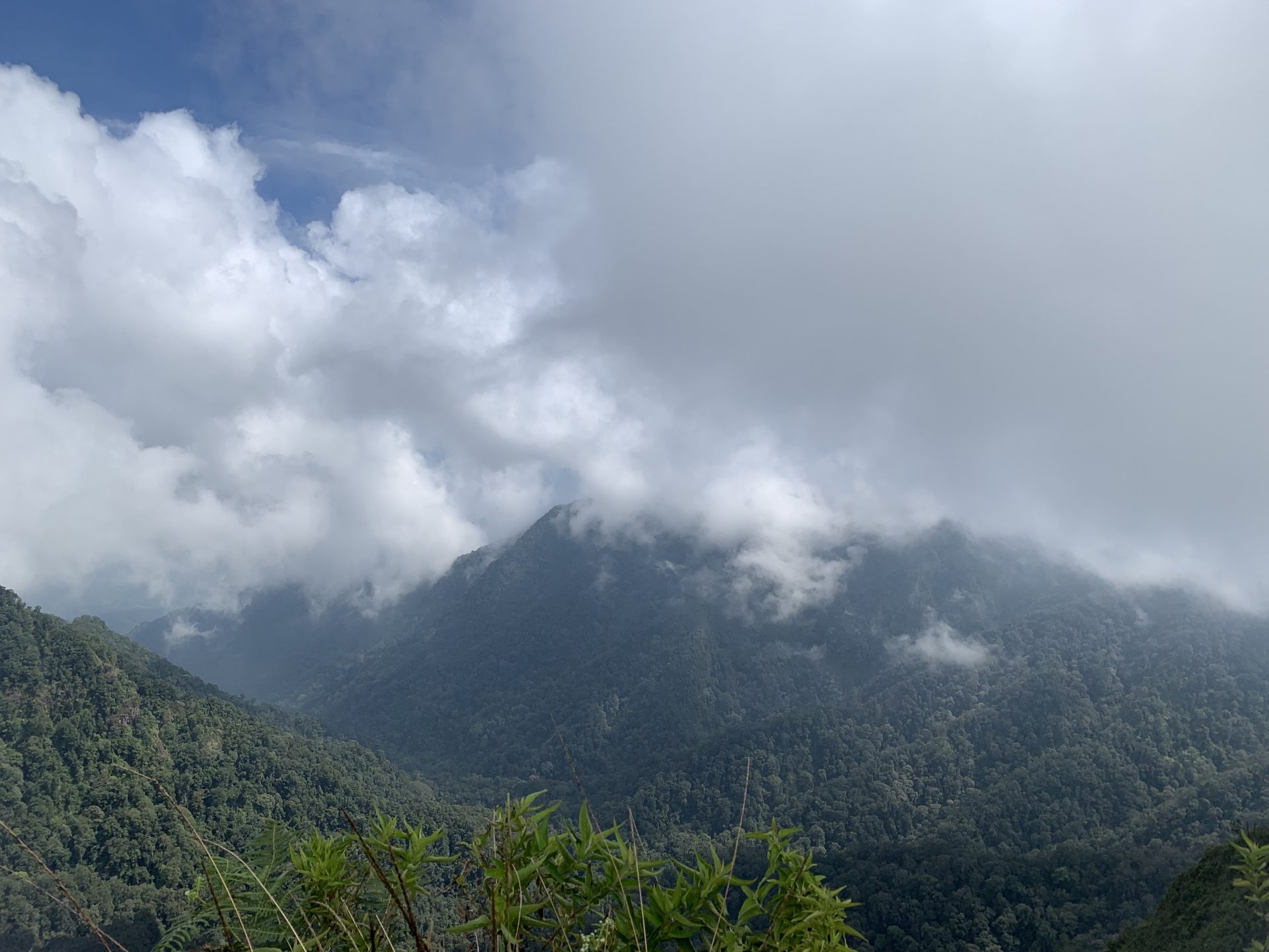 Gunung Burangrang