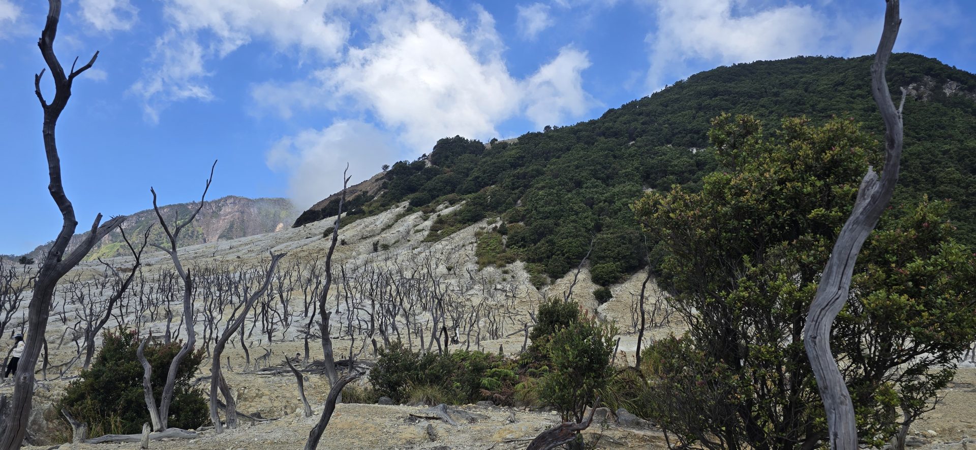 Gunung Papandayan