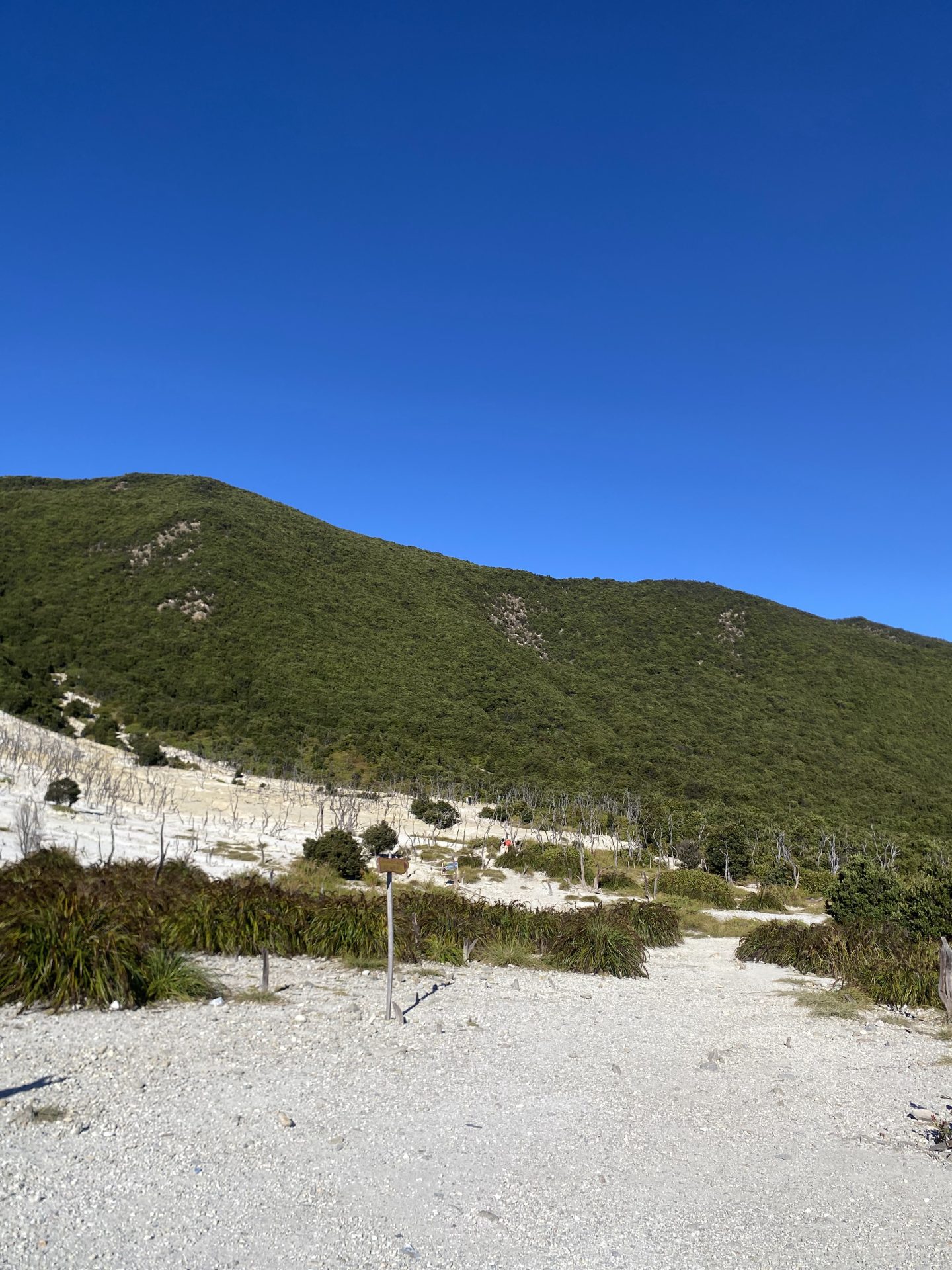 Gunung Papandayan