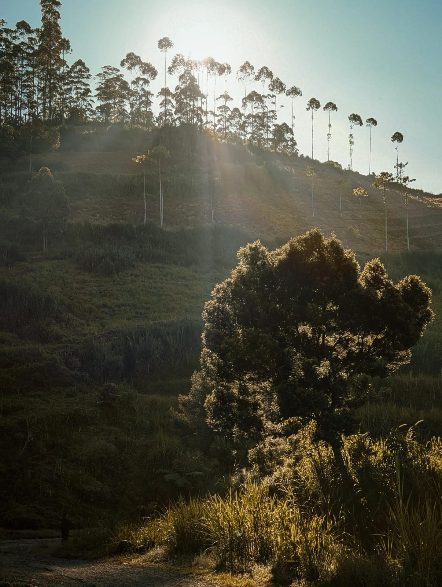 Gunung Malabar