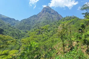 Gunung Muria