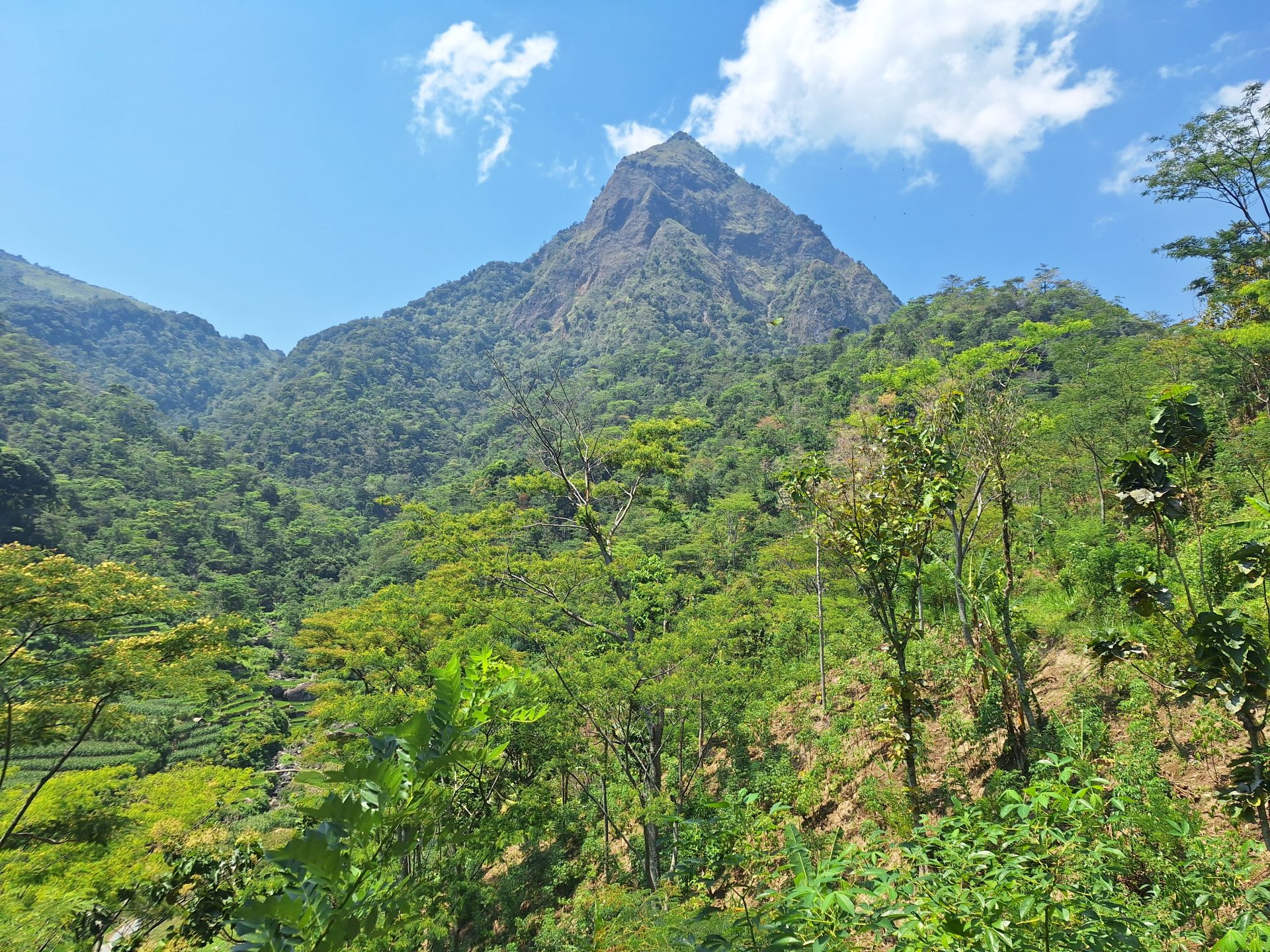 Gunung Muria