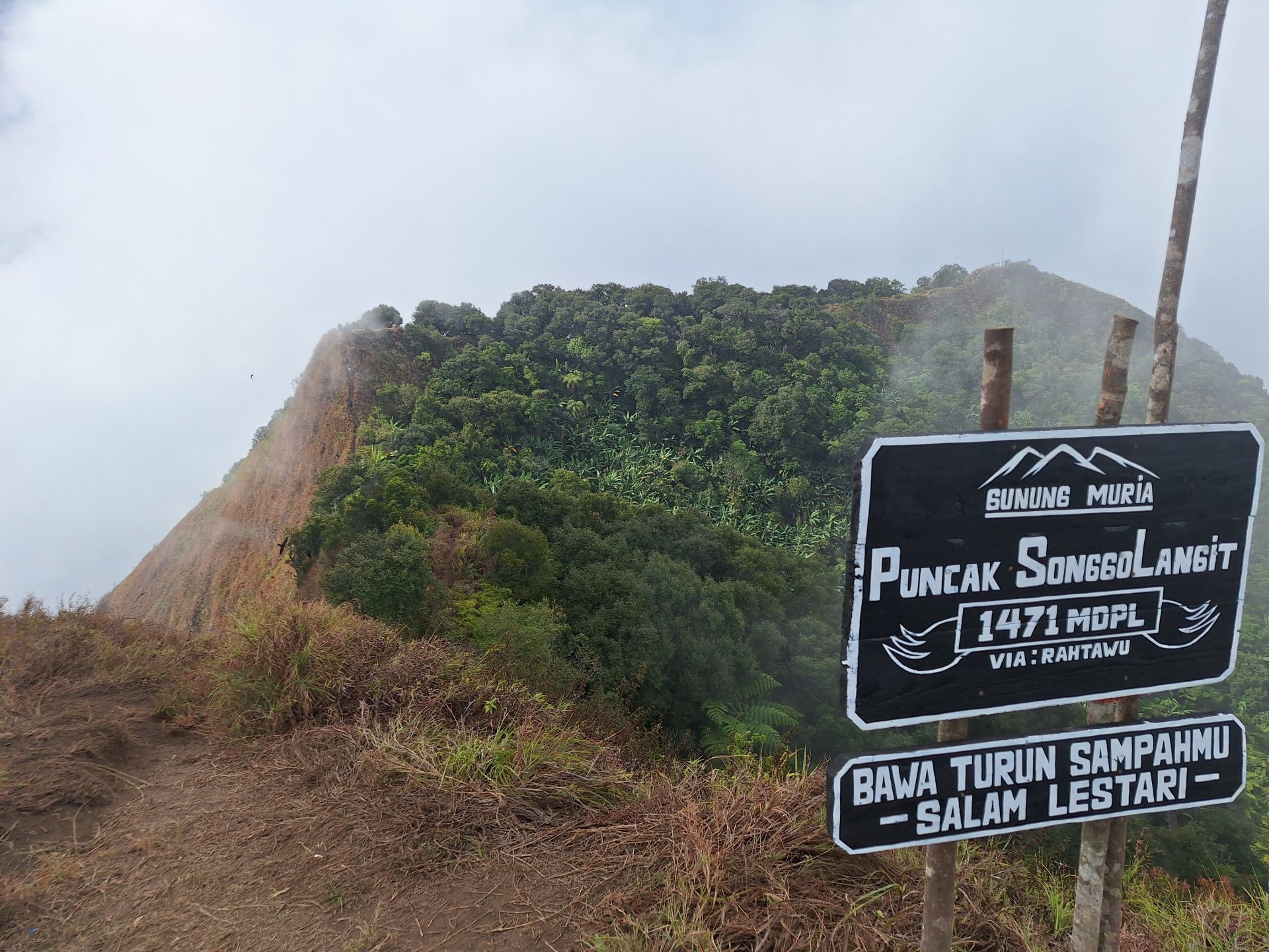 Gunung Muria