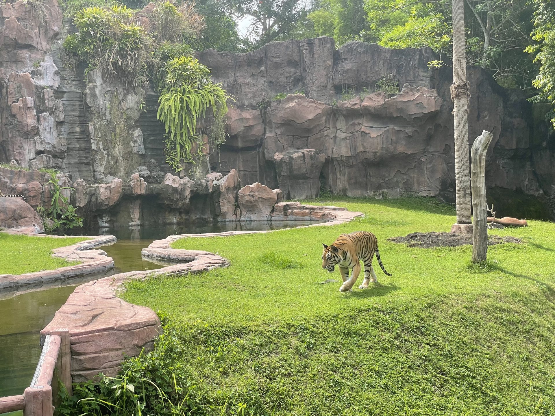 Bali Safari and Marine Park