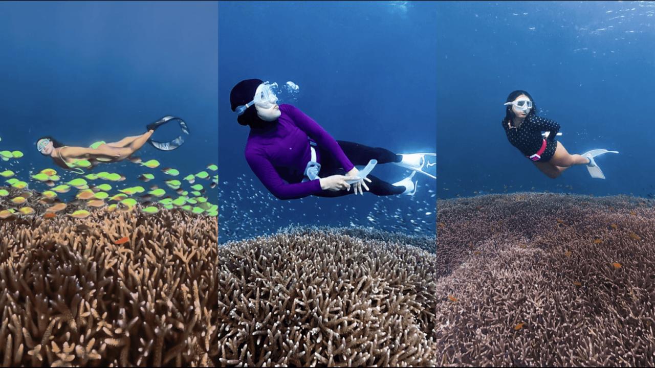 Freediving Open Trip Gili Islands Lombok