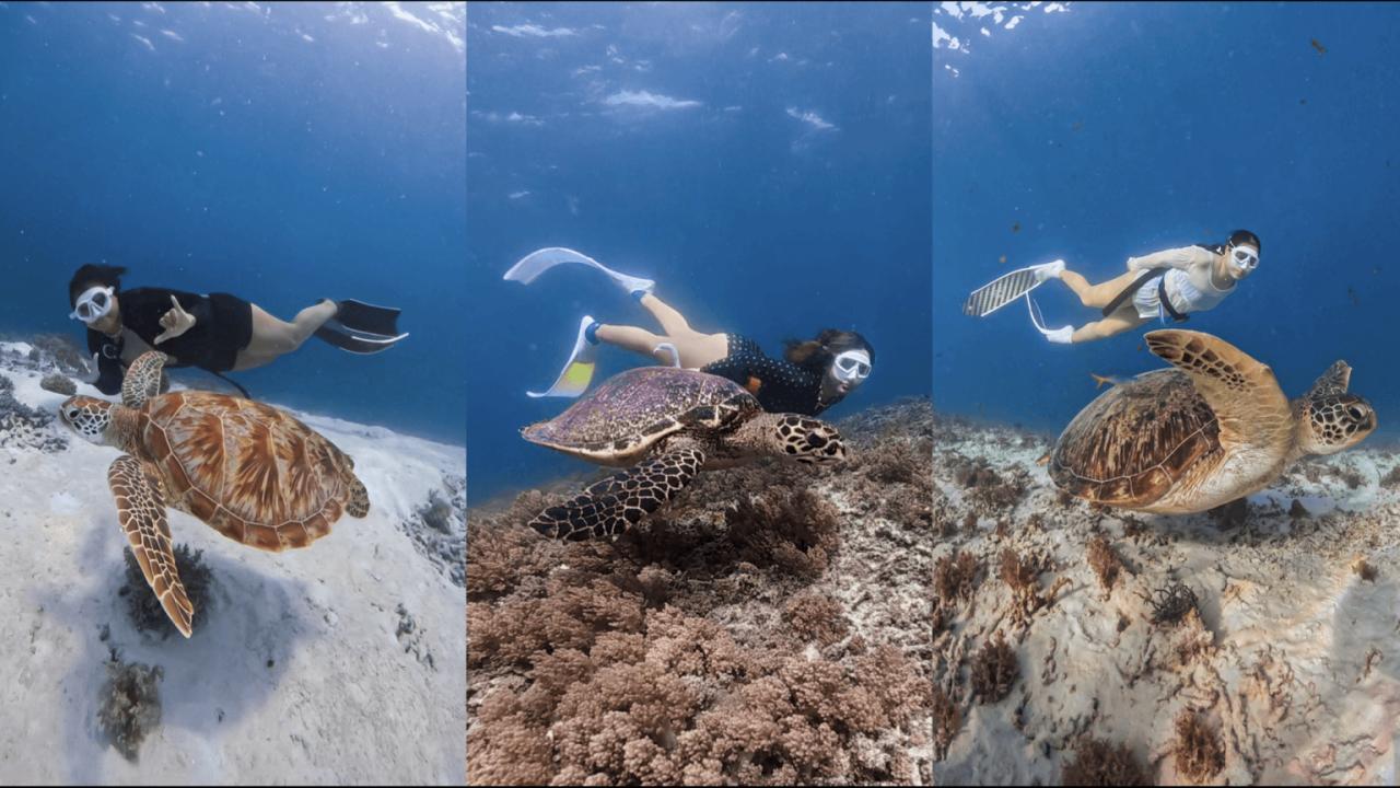 Freediving Open Trip Gili Islands Lombok