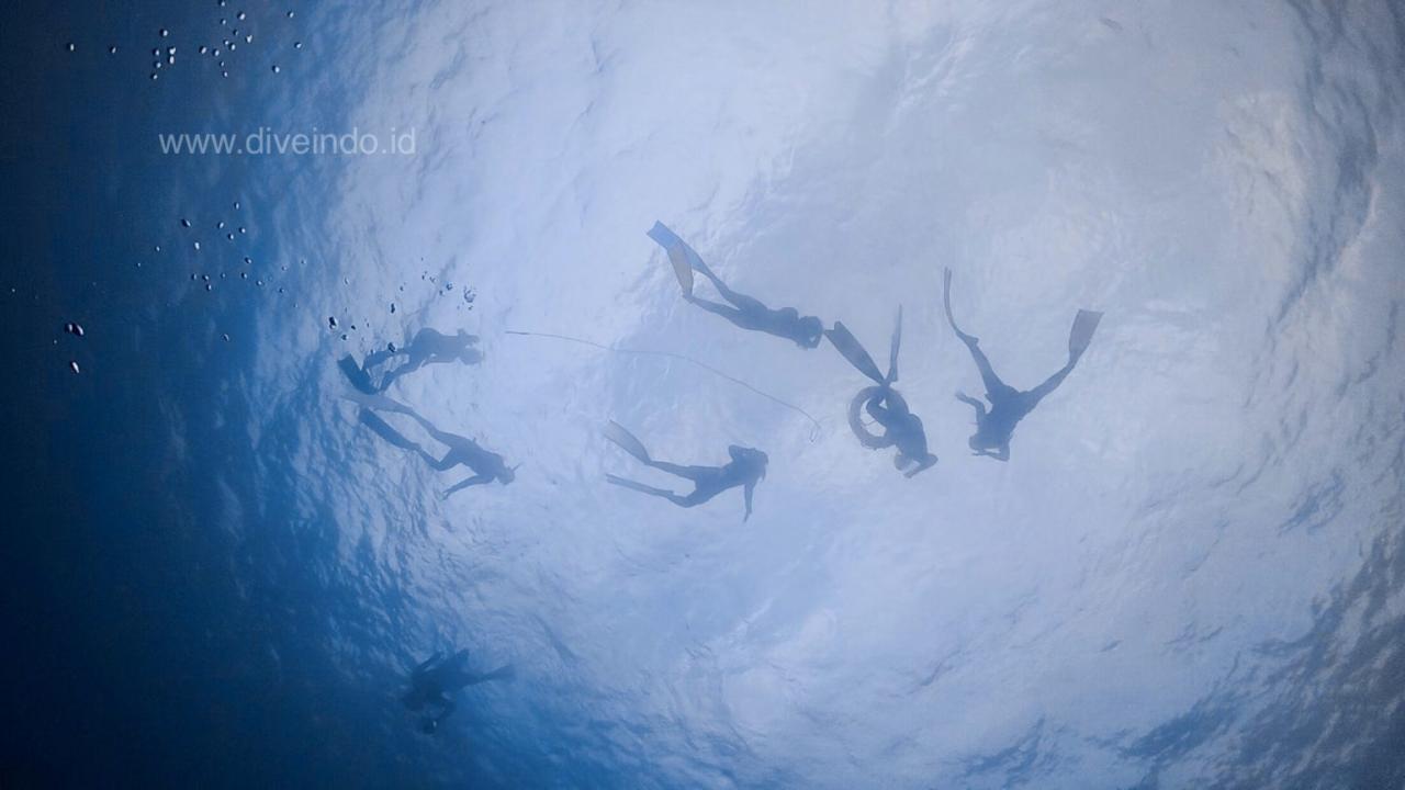 Freediving Open Trip Gili Kondo Lombok Timur