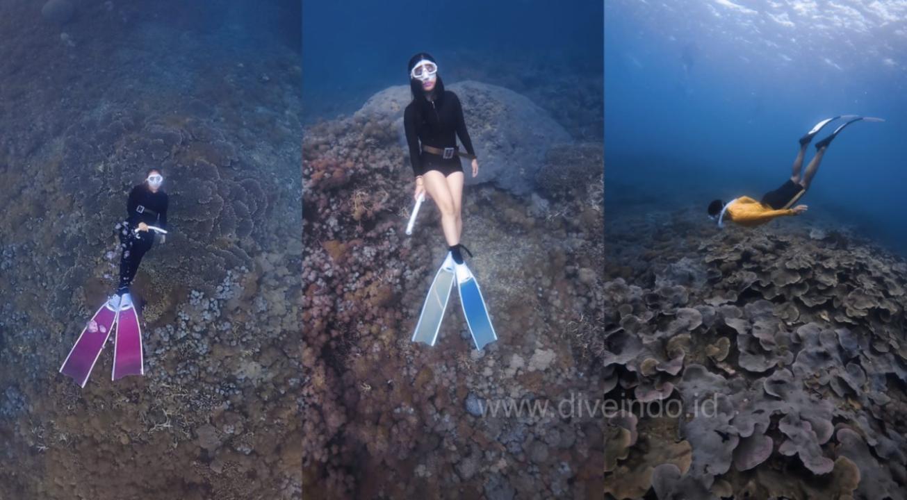 Freediving Open Trip Gili Kondo Lombok Timur