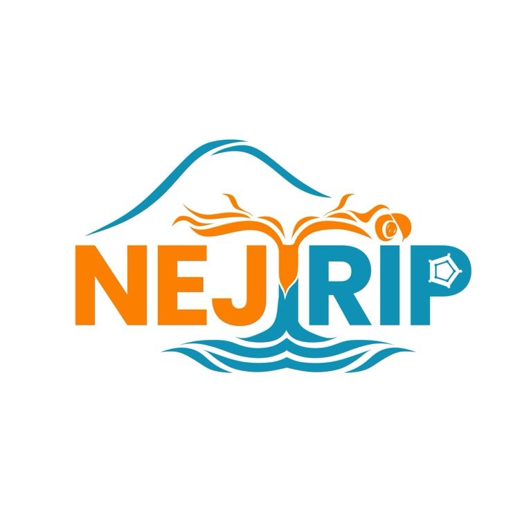 Nejtrip