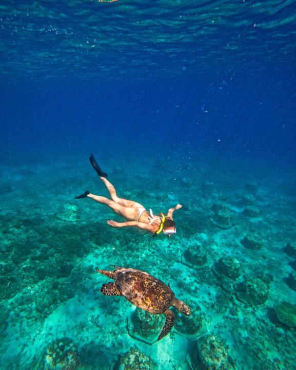 Open Trip Snorkeling Umum di Gili Island